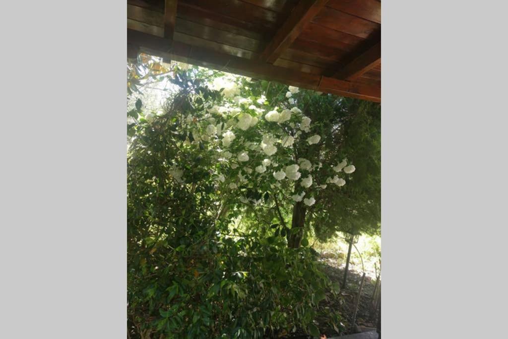 Irinis Cottage Kala Nera Exterior foto